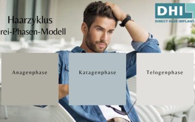 Der Haarzyklus: Ein perfekt eingespieltes Drei-Phasen-Modell
