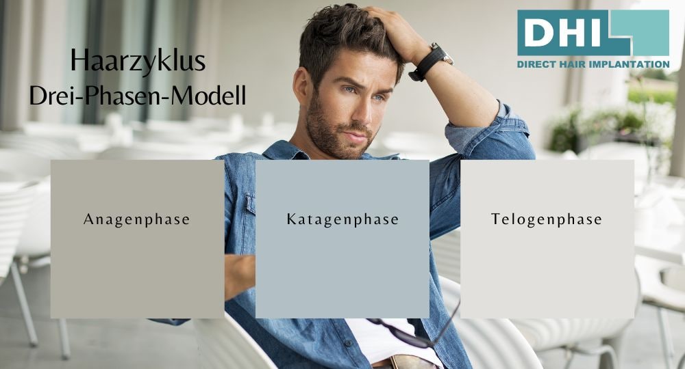 Der Haarzyklus: Ein perfekt eingespieltes Drei-Phasen-Modell